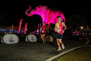 BIB: 
                            <button type="button" onclick="openModal(26534407)" class="btn btn-primary btn-sm float-right btn-popup" data-toggle="modal" data-target=".modal-high-quality">
                        <i class="fas fa-shopping-cart"></i> Add to Cart
                    </button>
                                            <button type="button" onclick="isThisMe(26534407, true)" class="btn btn-success btn-sm float-right btn-popup btn-isme hidden" data-toggle="tooltip" data-placement="bottom" title="นี่คือรูปของคุณใช่ไหม คลิกที่นี่เพื่อเอาเข้าอัลบั้ม">
                        <i class="fas fa-plus"></i> Add to album
                    </button>
                    <button type="button" onclick="isThisMe(26534407, false)" class="btn btn-warning btn-sm float-right btn-popup btn-isnotme hidden">
                        <i class="fas fa-ban"></i> Remove from album
                    </button>